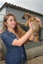 İzmir’de Örnek Tasarruf