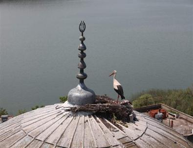 Leylek Şenliği Büyüledi