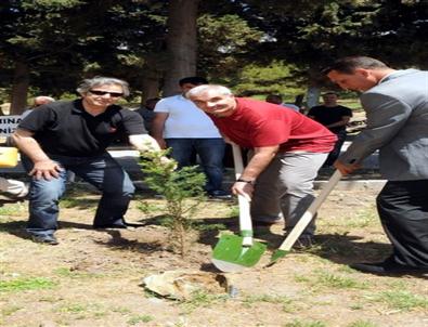 Bandırma'da 2 Bin 500 Fidan Toprakla Buluştu