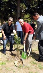 Bandırma'da 2 Bin 500 Fidan Toprakla Buluştu