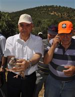 Manisa'da 350 Keklik Doğaya Salındı