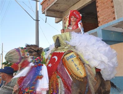Gelini Deve İle Götürdüler