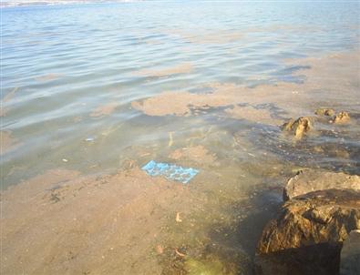 Akbük’te Deniz Kirliliği