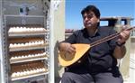 KARAELBISTAN - Müzisyen Mucit Kuluçka Makinesi Yaptı