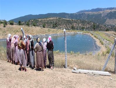 Oğlunun Cansız Bedenini Görünce Suya Atladı