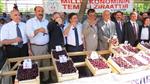 KİRAZ ÜRETİMİ - Yeşilyurt’un En İyi Kirazları ve Bahçeleri Belirlendi
