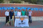 AK Parti Manavgat Gençlik Kolları'ndan Kandil Simiti