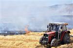 Buğday ve Arpa Ekili Tarlalarda Yangın Haberi
