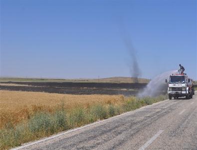 Cihanbeyli’de Buğday Ekili Alan Yandı
