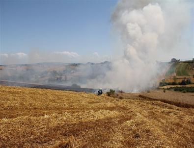 50 Dönümlük Ekili Alan Yandı