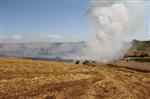 50 Dönümlük Ekili Alan Yandı