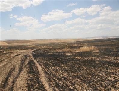 Afyonkarahisar’da Arazi Yangını