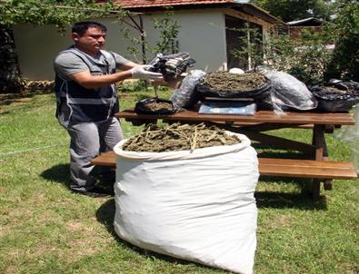 Zehir Tacirlerine Darbe