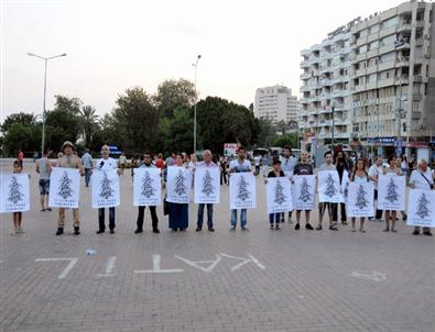 Gezi Parkı Eylemlerinde Ölenler İçin Sedir Fidanı Dikildi