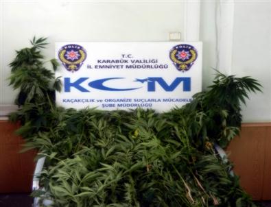 Karabük’te Uyuşturucu Operasyonu