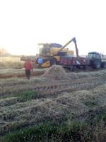 ELEKTRİK BORCU - Kızıltepe Ziraat Odası Başkanı Dinler, Ürün Değerlendirmesinde Bulundu