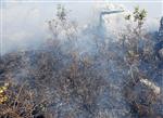 Orman Yangını Kontrol Altına Alınarak Söndürüldü