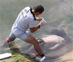 ÖLÜM TEHLİKESİ - Suriye'de Yaralanınca Kaçtı, Adana'da Boğuldu