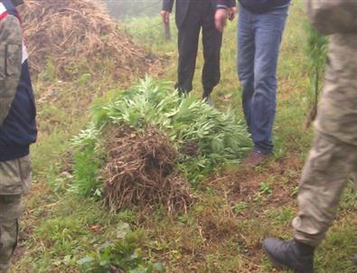 4 İlde Eş Zamanlı Uyuşturucu Operasyonu