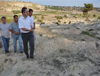 Ceviz ve Badem Eylem Planı Mersin’ De Hayata Geçti