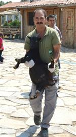 DOĞAL YAŞAM ALANI - Üniversiteli Oldular