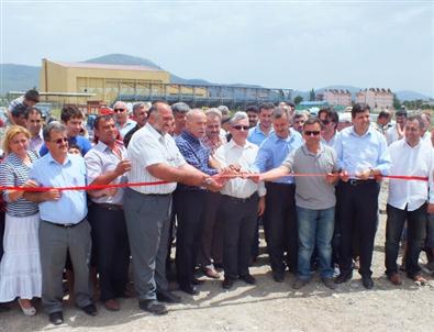 Emekler Meyve Vermeye Devam Ediyor