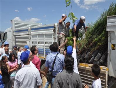 Manisa Halk Sağlığı Müdürlüğü Personeli Fidan Dikti