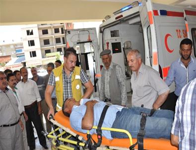 Muş’ta İki Ayrı Kazada 5 Kişi Yaralandı