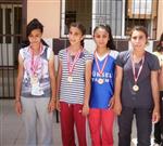 TAYTAN - Taytanlı Öğrenciler 17 Madalya Kazandı