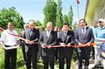 HAYRETTİN BASKIN - Hizan'da 'fıstık Fidanı Yetiştirme Tesisi' Açıldı