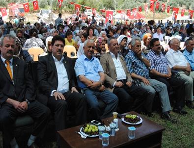 Pirinçci Köyü Tanışma ve Kaynaşma Festivali Renkli Geçti