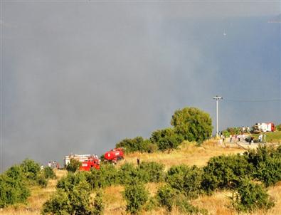 Bodrum’da Çıkan Yangın Turistleri Korkuttu