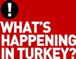 TAKSİM GEZİ PARKI - Gezi Parkı eylemcilerine karşı New York Times ilanı