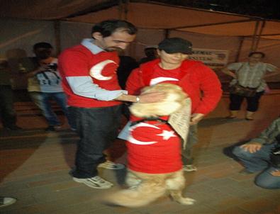 Köpeğine Türk Bayrağı Giydiren Eylemci Gözaltına Alındı