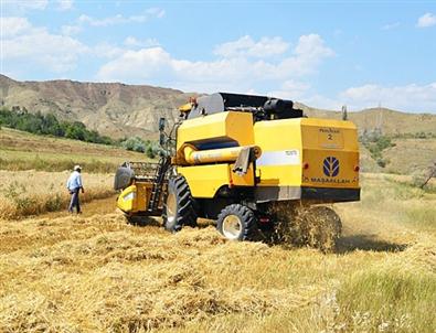 Tosya’da Buğday ve Arpa Hasadı Başladı