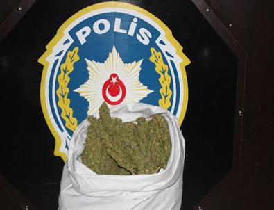 Bingöl’de Esrar Operasyonu