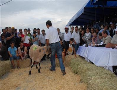 İzmir Koyun-keçi Panayırı 14-15 Eylül'de