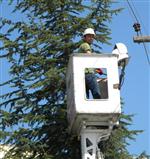 TEDAŞ - Elektrik Kesintilerine Neden Olan Ağaçlar Kesiliyor