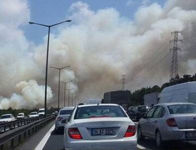 Beykoz'da orman yangını