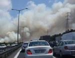 ÇAVUŞBAŞı - Beykoz'da orman yangını