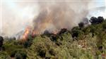 SARMAŞıK - Bilecik'de Orman Yangını