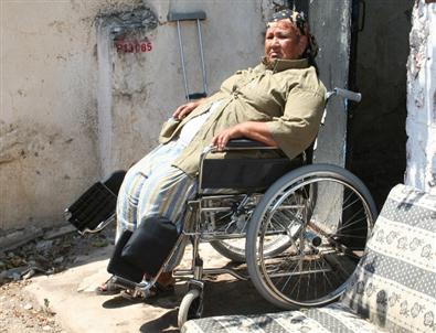 Bodrumlu Hevse, Tekerlekli Sandalyesine Kavuştu