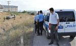 ABDULLAH ÖZER - Lastiği Patlayan Araç Şarampole Devrildi: 2 Polis Yaralı