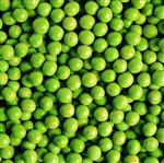 KİLO KONTROLÜ - kuru Bezelye Tok Tutuyor