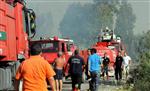 SU ARITMA TESİSİ - Tatil Beldesindeki Yangın Korkuttu