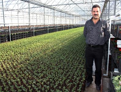 Yalova Çiçekçilik Üssü Olacak