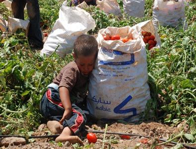 (özel Haber) 15 Yaşındaki Zeynep'in Öğretmenlik Hayali