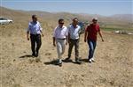 KÜRT DILI BÖLÜMÜ - Rektör Ceylan, Üniversite İçin Tahsis Edilen Arazileri Dolaştı