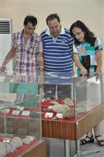 FOSİL - Tabiat Tarihi Müzesi Herkesin Gözdesi