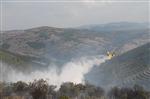 Balıkesir'de Orman Yangını Kontrol Altına Alındı